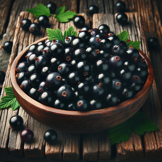 Dark Cassis